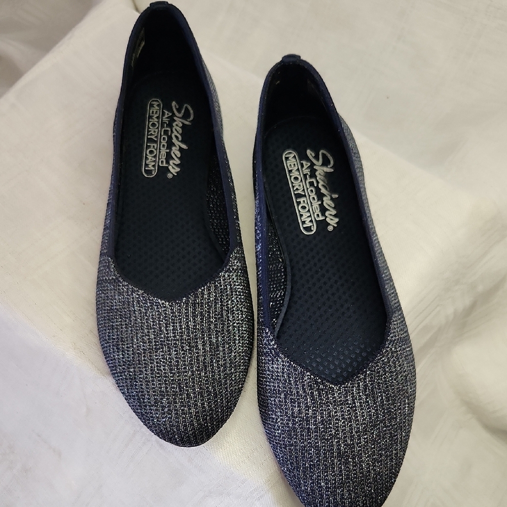 NWOT Skechers Blue Flats